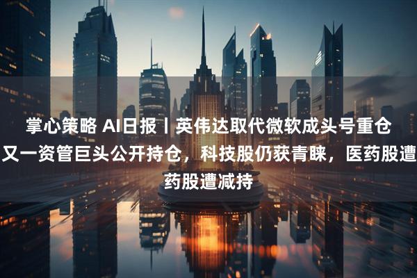 掌心策略 AI日报丨英伟达取代微软成头号重仓股！又一资管巨头公开持仓，科技股仍获青睐，医药股遭减持