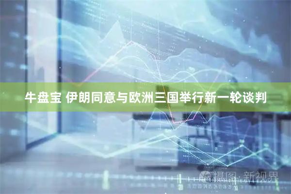 牛盘宝 伊朗同意与欧洲三国举行新一轮谈判