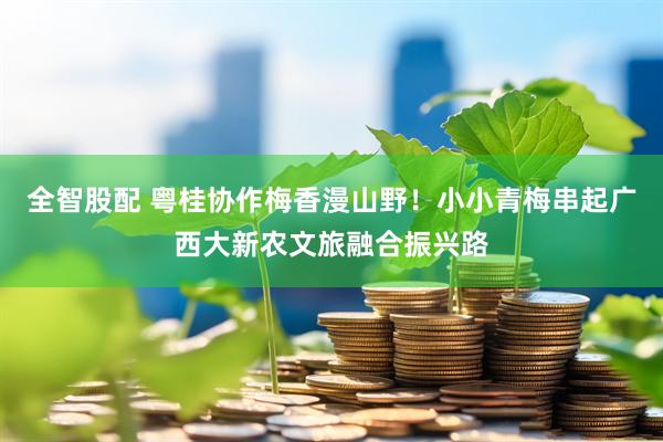 全智股配 粤桂协作梅香漫山野！小小青梅串起广西大新农文旅融合振兴路